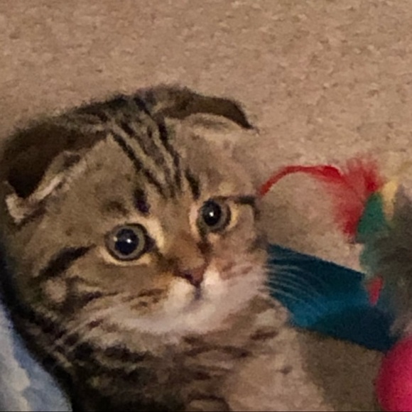 Meet your Posher, M - Picture 1 of 1